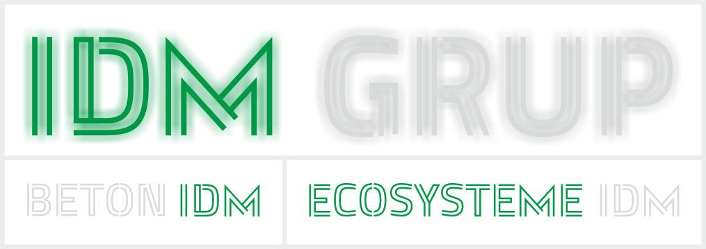 Logo IDM Grup Neon black