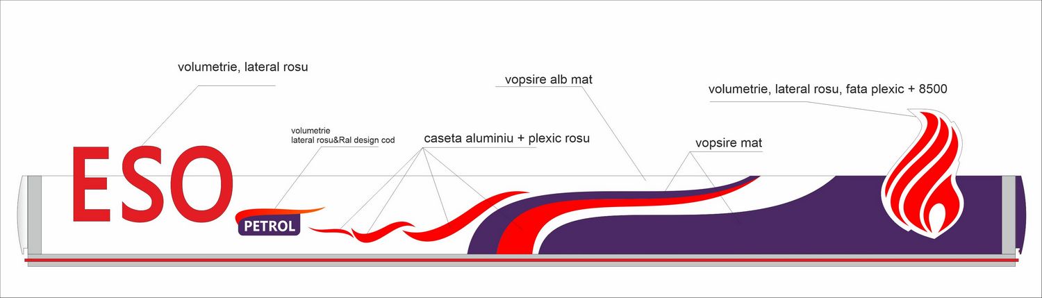 Proiect pazie copertina Eso